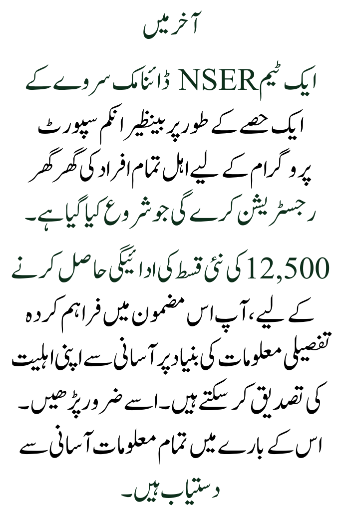 NSER Dynamic Survey Initiate New Payment of 12500 for Families Not Meeting Eligibility Criteria 2026