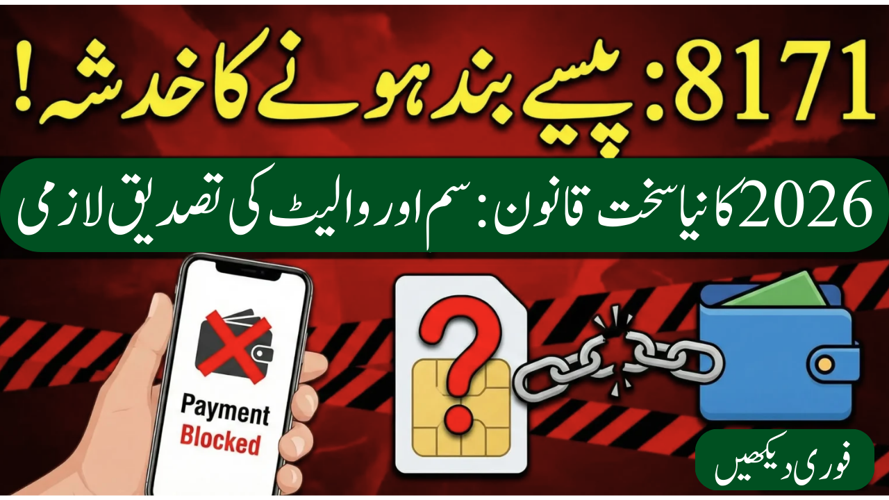 8171 Payment SIM Verification Wallet Account Full Information 2026