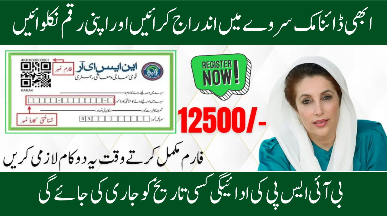 NSER Dynamic Survey Initiate New Payment of 12500 for Families Not Meeting Eligibility Criteria 2026