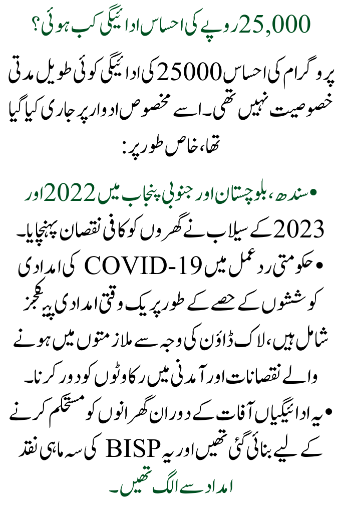 Overview of Ehsaas 25000 Payment via the BISP 8171 Web Portal 2026