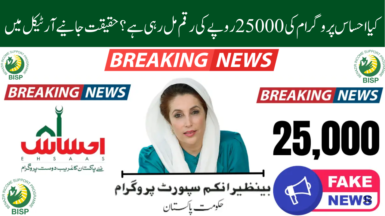 Overview of Ehsaas 25000 Payment via the BISP 8171 Web Portal 2026